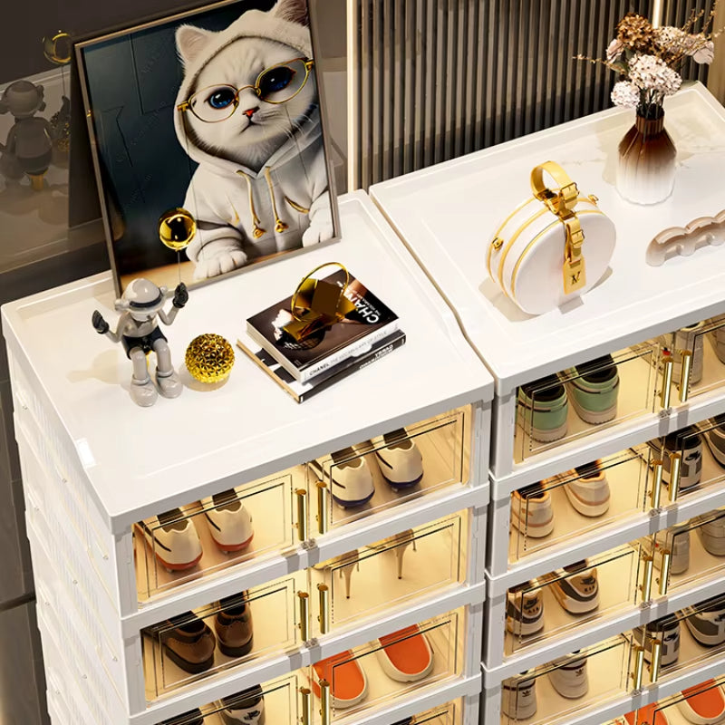 Organizador de zapatos I